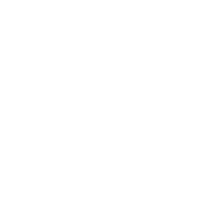 bff asian grill logo