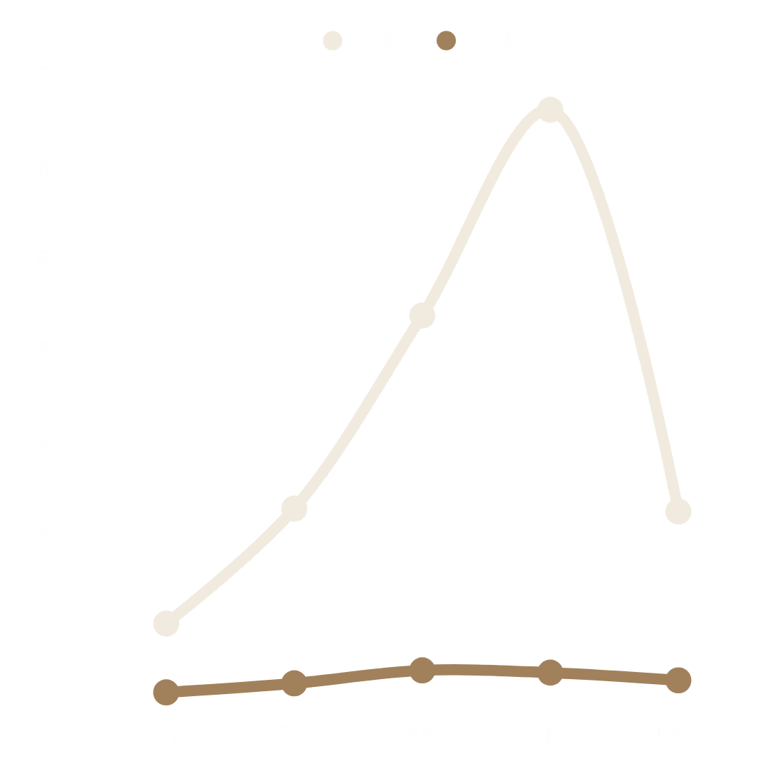 Chart showing page view comparison between 2024 and 2025 with major spike in April 2025