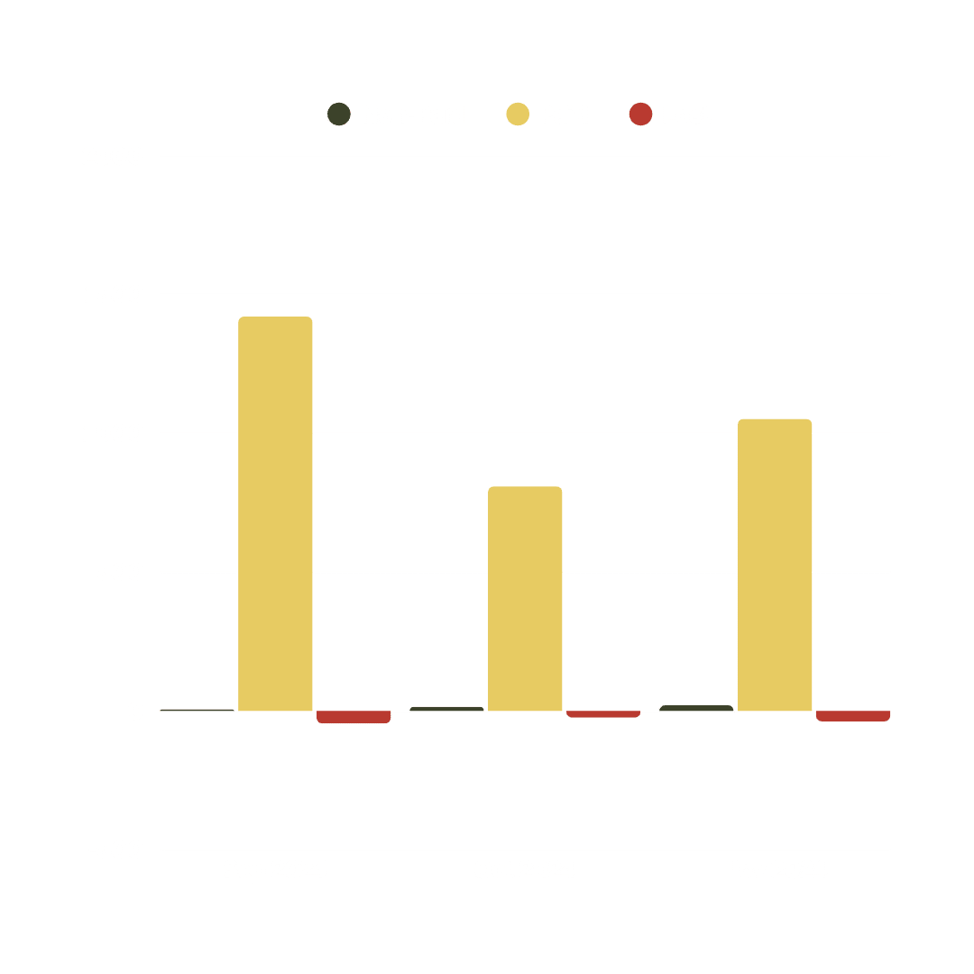 twinstone hats facebook audience growth