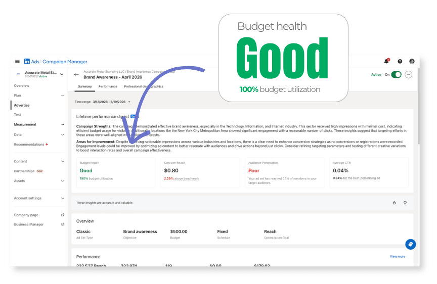 digital marketing services budget health showing good campaign performance